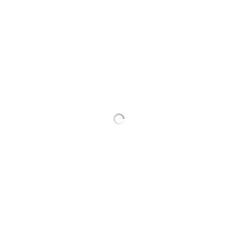 APO 全功能快充版口袋行動電源